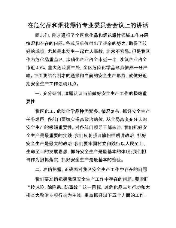 在危化品和烟花爆竹专业委员会会议上的讲话