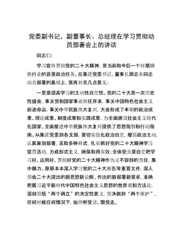 党委副书记、副董事长、总经理在学习贯彻动员部署会上的讲话