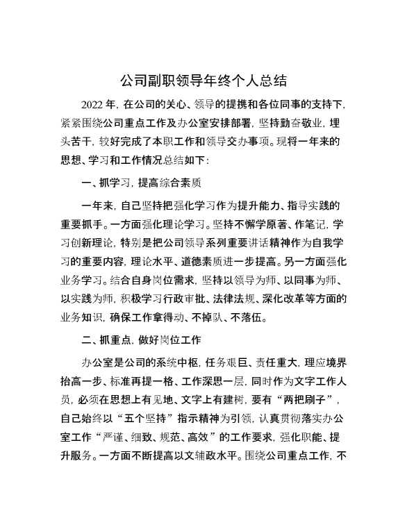 公司副职领导年终个人总结