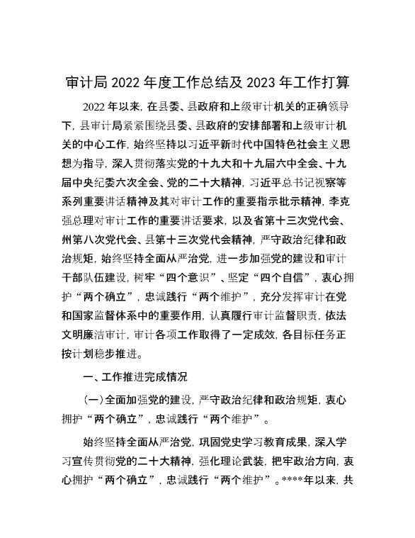 审计局2022年度工作总结及2023年工作打算