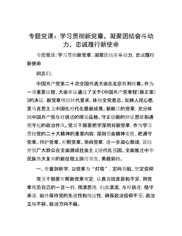 专题党课：学习贯彻新党章，凝聚团结奋斗动力，忠诚履行新使命