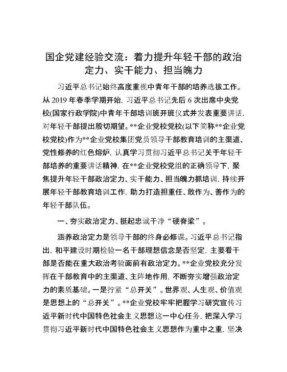 国企党建6经验交流：着力提升年轻干部的政治定力、实干能力、担当魄力