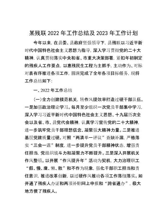 某残联2022年工作总结及2023年工作计划