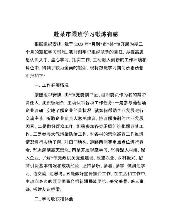 【理论学习】赴某市跟班学习锻炼有感