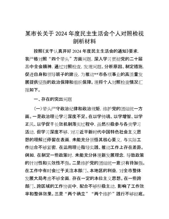 某市长关于2024年度民主生活会个人对照检视剖析材料