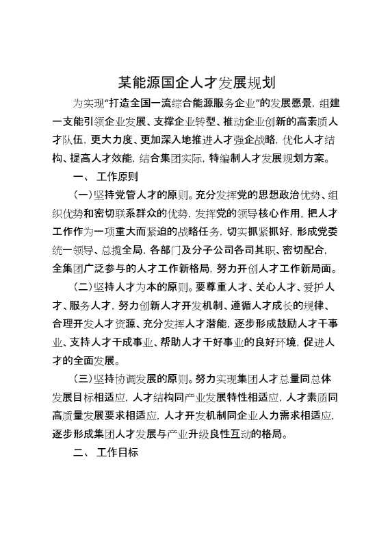 某能源国企人才发展规划