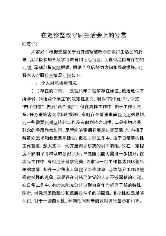 在巡察整改专题生活会上的发言