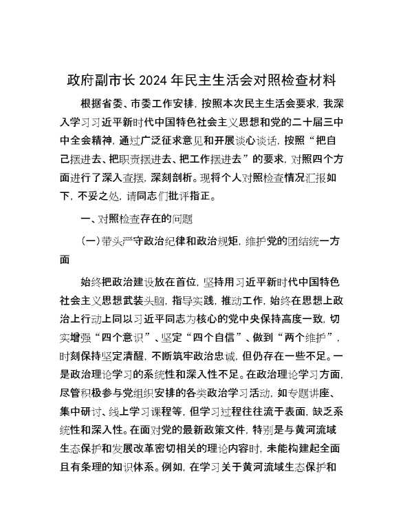 政府副市长2024年民主生活会对照检查材料