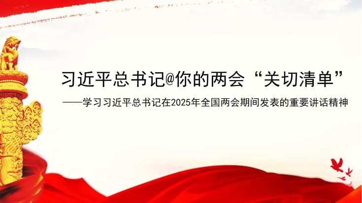 洪向华：学习习近平总书记在2025年全国两会期间发表的重要讲话精神