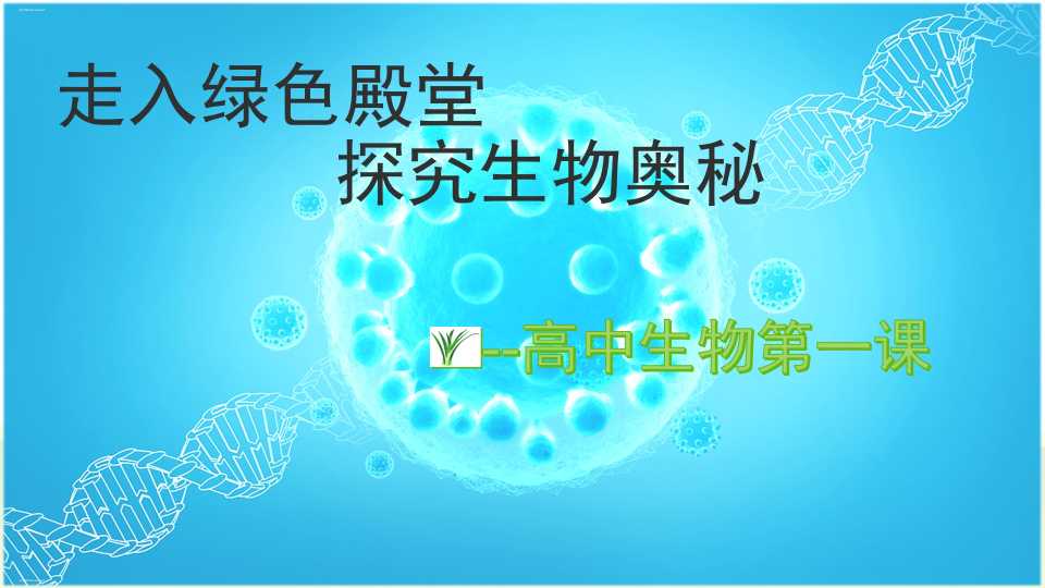 高中生物第一课